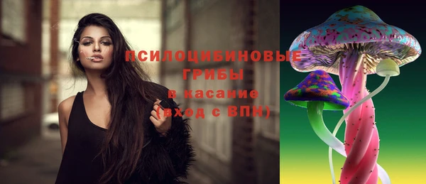 синтетический гашиш Касимов