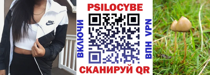 Купить  Сатка  Галлюциногенные грибы GOLDEN TEACHER 