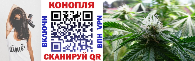 Шишки марихуана семена  Купить где  Сатка 